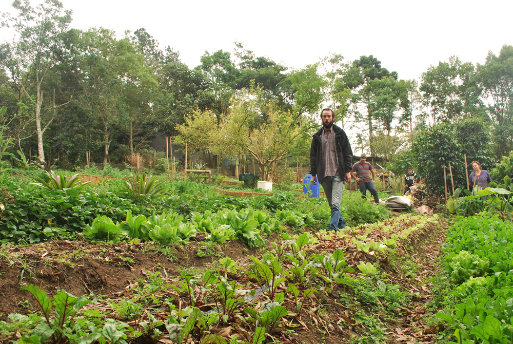 The same man from the cover photo, with white skin, beard and moustache, and short, wavy light brown hair, is walking towards the camera between rows of small vegetables. He is wearing light blue jeans, a blue and gray checkered shirt and a large black jacket that is open. In the back are some people and tall, thin trees.