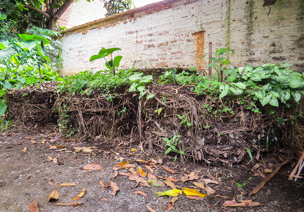 Bales of earth stacked in a row are covered by small plants growing on top. In the back is a stained white brick wall. Closer to the camera is a dark dirt ground. 