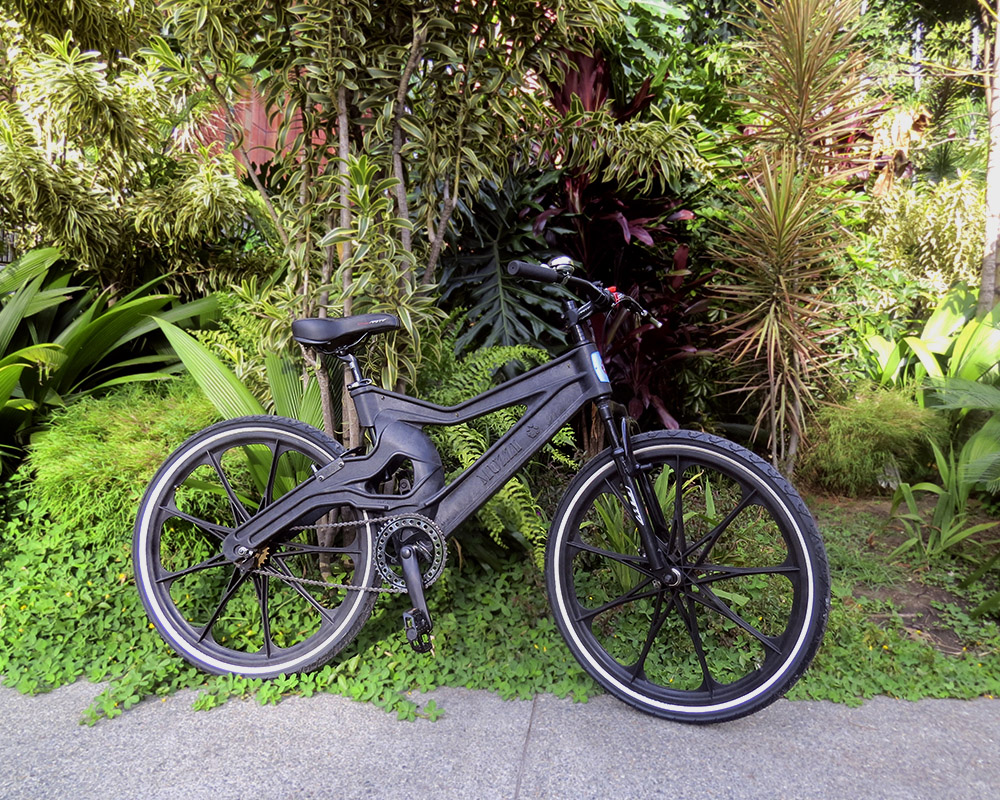 The same black bicycle from the cover photo is facing the right side of the photo, and is resting against a small tree, with asphalt in front of it and a yard with various small trees in the back.