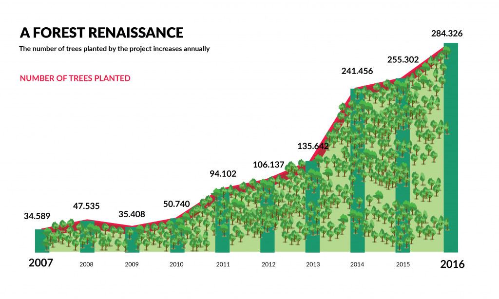 A graph with ascending bars shows the increase in the number of trees planted during the project, during the period between 2007 and 2016. In the upper left corner of the image is the title “A Forest Renaissance,” in uppercase, and the subtitle “The number of trees planted by project increases annually,” written in black. Directly below, in red letters in uppercase, is written “Number of trees planted.” The graph is in green tones and is filled with illustrations of various icons representing trees. The number are, starting from the year 2007 and ending in the year 2016, respectively, as follows : 34,589, 47,535, 35,408, 50,740, 94,102, 106,137, 135,642, 241,456, 255,302 and 284,326. In the lower left corner is the information source: Extrema Environmental Department.