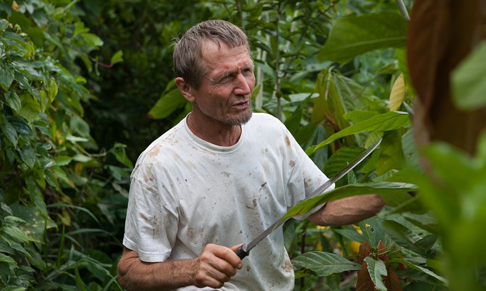 A gray-haired man wearing a white T-shirt with a bowie knife in his hand in the middle of the forest. 