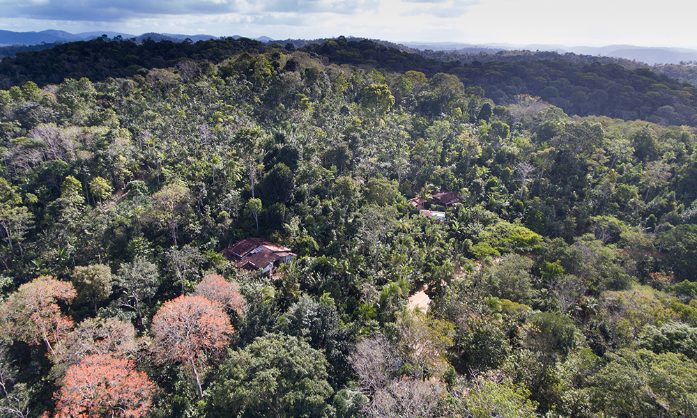 Aerial picture of terrain full of trees and plants. 