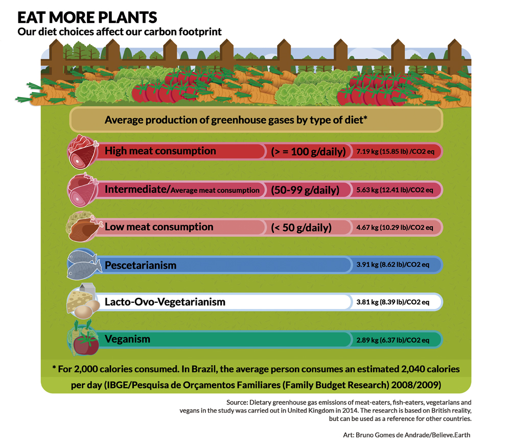 Eat more plants - our diet choices affect our carbon footprint. Average production of greenhouse gases by type of diet for 2000 calories consumed. In Brazil, the average person consumes an estimated 2040 calories per day (IBGE/Pesquisa de Orçamentos Familiares (Family Budget Research) 2008/2009). High meat consumption - more than 100g daily: 7,19kg (15,85 lb)/CO2 eq; Intermediate (average meat consumption) - from 50 to 100g daily: 5,63kg (12,41 lb) /CO2 eq; Low meat consumption - less than 50g daily: 4,67kg (10,29 lb)/CO2 eq; Pescetarianism: 3,91 kg (8,62 lb)/CO2 eq; Lacto-ovo-vegetarianism: 3,81 kg (8,39 lb)/CO2 eq; Veganism: 2,89kg (6,37 lb)/CO2 eq. Source: Dietary gas emissions of meat-eaters, fish-eaters, vegetarians and vegans in the study was carried out in United Kingdom in 2014. The research is based on British reality, but can be used as a reference for other countries. Art: Bruno Gomes de Andrade / Believe.Earth.