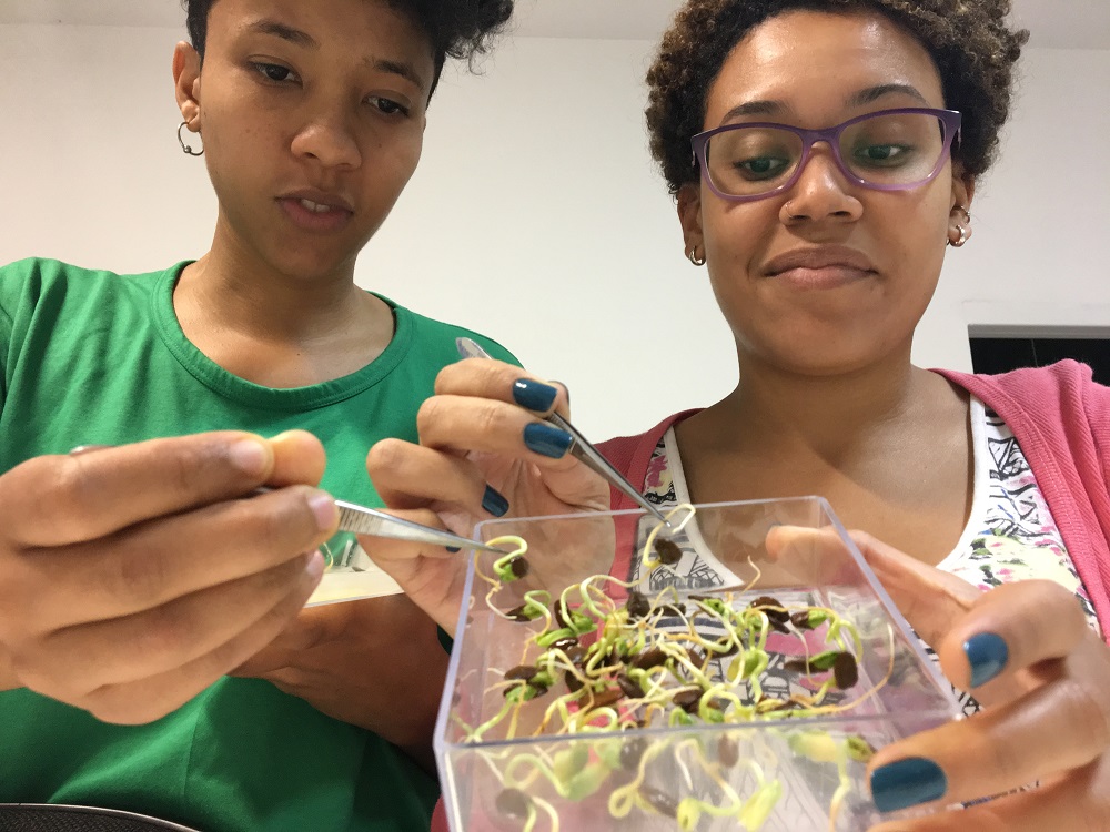 Two women handle sprouting seeds in an open, clear acrylic container, facing the camera and up close. They are using silver pincers to handle the sprouts and look at them. Both women have dark skin and short, curly brown hair. The one on the right is wearing a light green shirt with short sleeves. The one on the left is wearing purple-framed glasses and a t-shirt with a colorful pattern under an open pink cardigan.