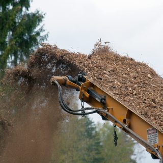 A yellow metal machine sticks up from the lower right corner of the photo, spewing wood chips into the air. In the back are the dark leaves from the top of a few trees and a gray sky.