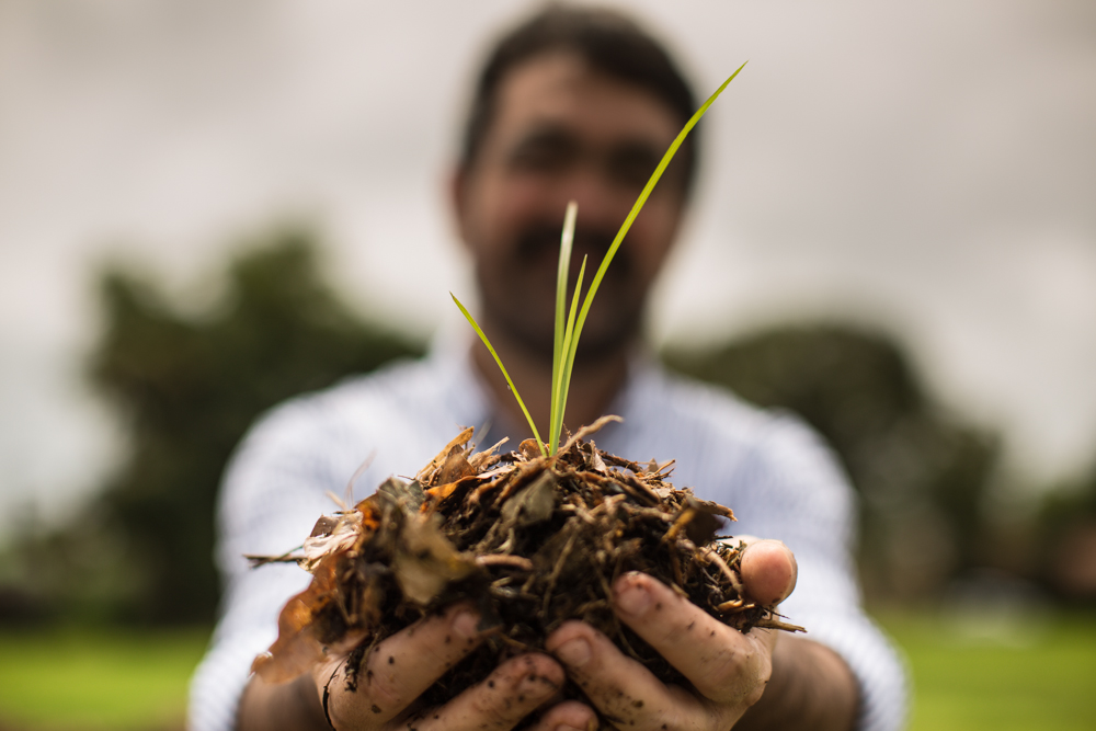 A man holds a handful of earth towards the camera. He has white skin and brown hair, and is wearing a white shirt. His face is completely out of focus, with sharp focus only on the handful of earth, out of which are sprouting four thin green grass shoots. In the back is a gray sky.