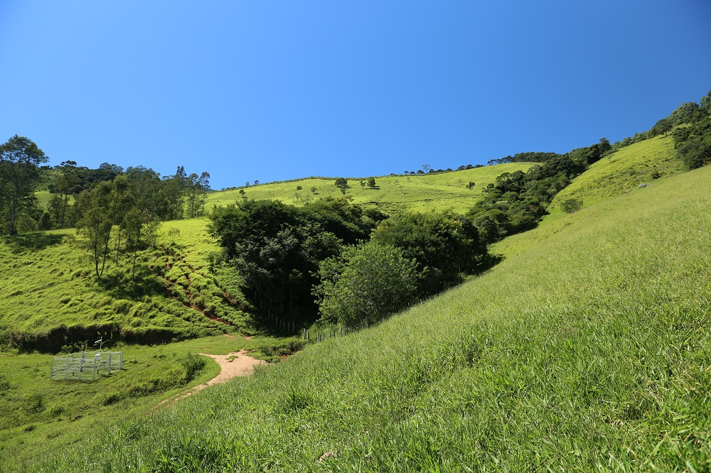 A foto mostra um vale de grama verde clara, com alguns arbustos e algumas árvores dispersos. Ao fundo, o céu azul sem nenhuma nuvem.