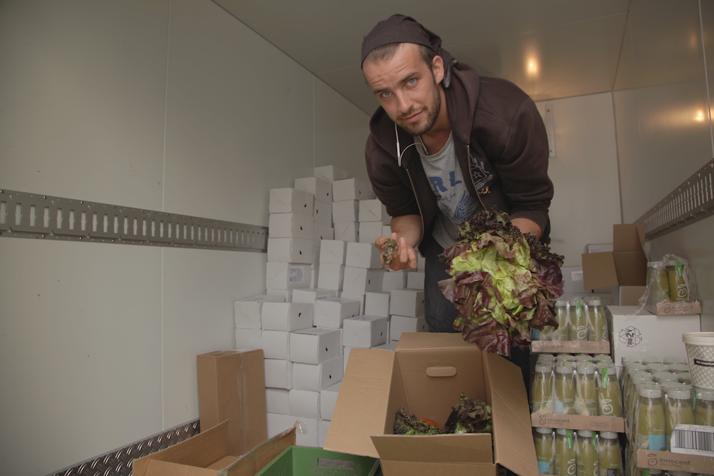 A man leans down towards the camera, showing a head of romaine lettuce in his hands. He has white skin, thin beard and straight, very light brown hair covered by a brown bandana tied around his head. He is wearing a gray t-shirt with blue print under an open brown jacket and dark jeans. By his feet is a cardboard box with some heads of romaine lettuce. Around him are boxes of various food items, stacked on the floor. On the edges of the photo are white walls.