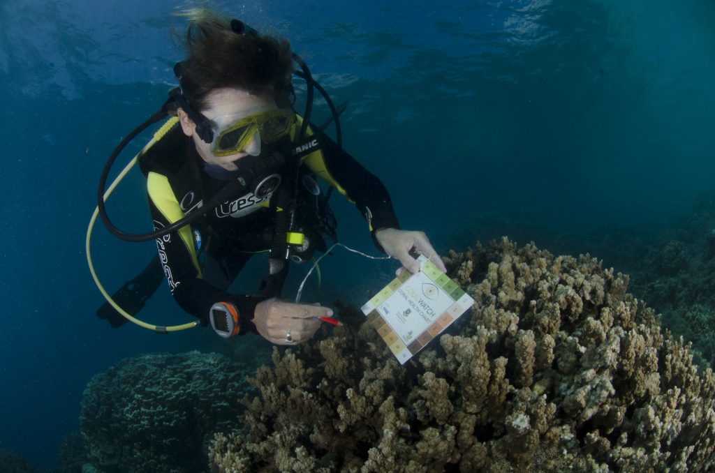 A foto mostra um mergulhador, no fundo do mar, segurando uma pequena tabela com cores. Ao fundo, um coral de cor esbranquiçada