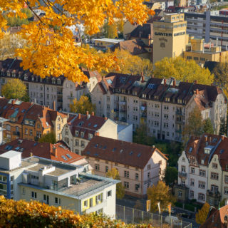 Aerial view of a city with small residential buildings. Among them, lots of trees with yellow leaves.