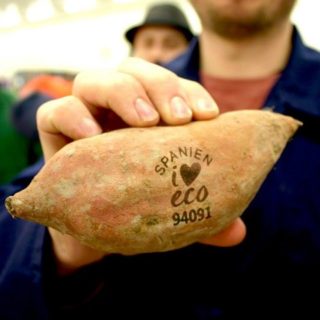 A sweet potato is held up by a white man wearing a jacket with yellow, gray and blue stripes. The hand and potato are in focus, while the man is out of focus. His left arm, which is holding up the potato, has colorful tattoos. The man is smiling. In the background are various stacks of cardboard boxes. Printed on the potato’s skin, in the center, are the words “F*ck plastic” inside a dark brown square, and “nature&more” below it.