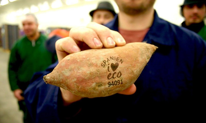 A sweet potato is held up by a white man wearing a jacket with yellow, gray and blue stripes. The hand and potato are in focus, while the man is out of focus. His left arm, which is holding up the potato, has colorful tattoos. The man is smiling. In the background are various stacks of cardboard boxes. Printed on the potato’s skin, in the center, are the words “F*ck plastic” inside a dark brown square, and “nature&more” below it.