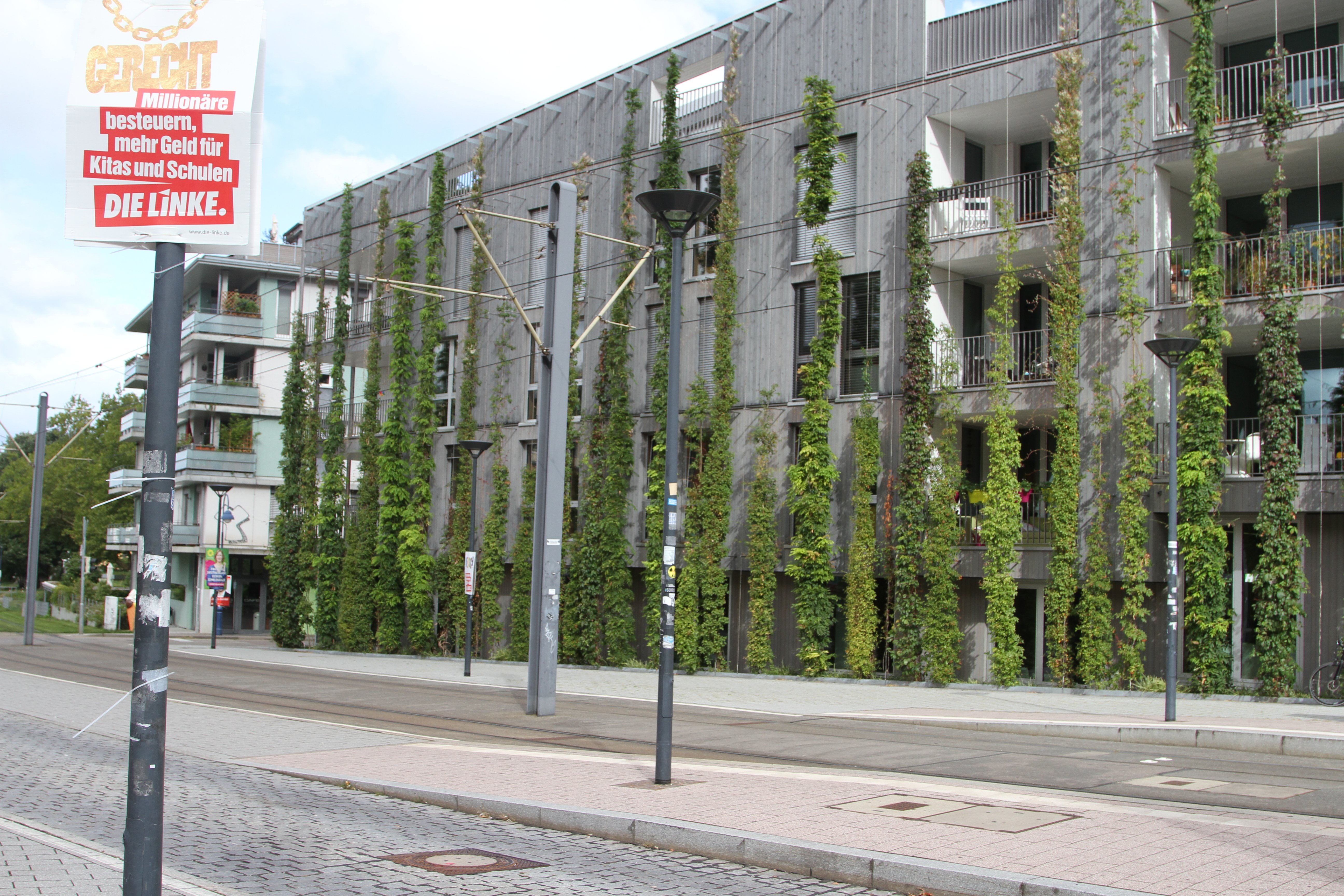 A wide four-story building, enveloped by green vines.